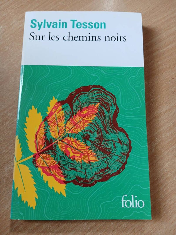 Sur les chemins noirs- Sylvain Tesson  Folio  - 2019