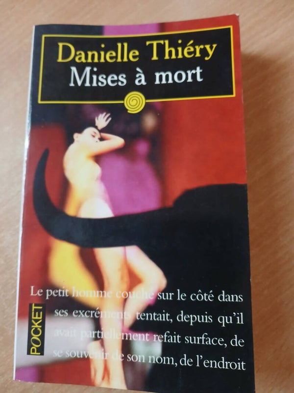 Mise à mort - Danielle Thiéry - Pocket  - 2001