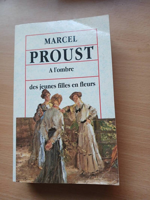 A l'ombre des jeunes filles en fleurs  -Marcel Proust -  1993