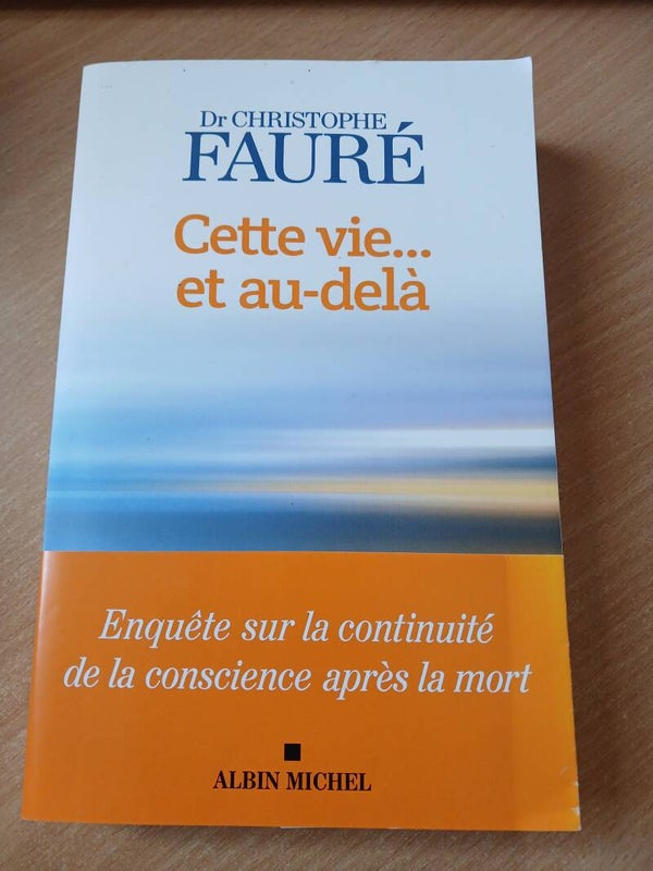 Cette vie...et au delà - Dr Christophe Fauré - Albin Michel - 2022