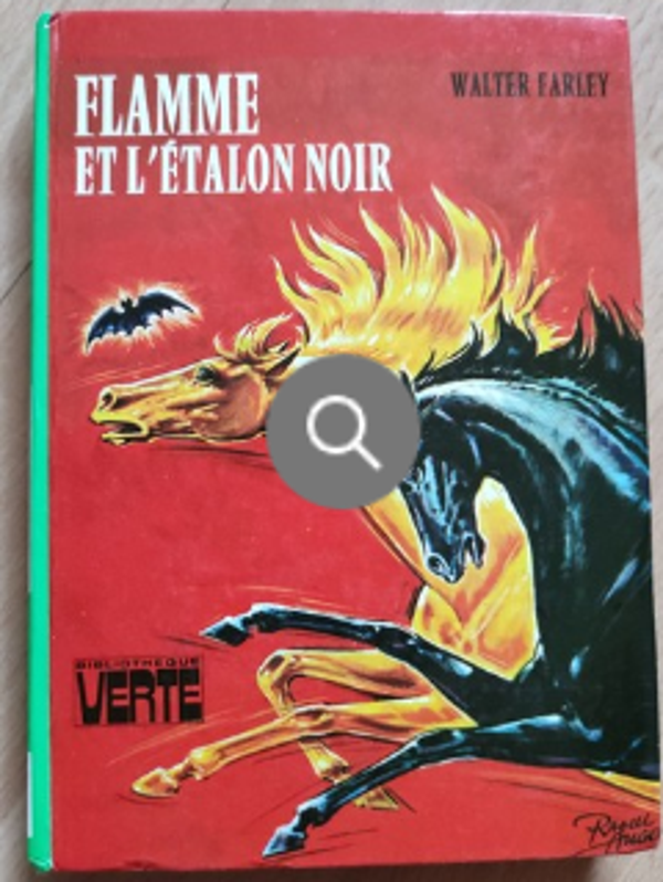 Flamme et l'étalon noir - Walter Farlay - Bibliothèque verte - 1971