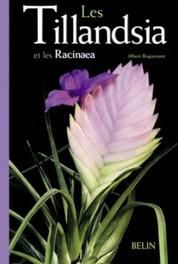 Les tilandsia et les racinacea d'Albert Roguenant -  Belin 2002