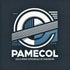 PAMECOL E INGENIERIA SA
