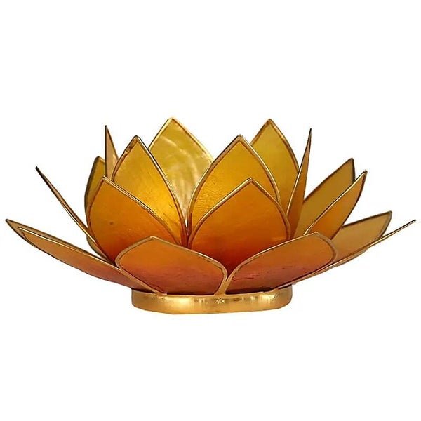 Eclairage Lotus jaune orange bord or