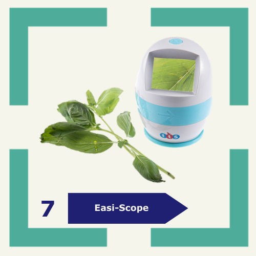 07. Easi-Scope - Periode 1