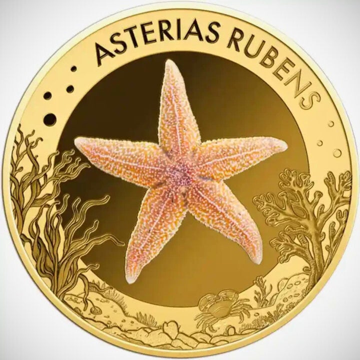 Common Starfish - 1/1000 oz .999 Gold Coin - 3000 Francs Republic Of Chad