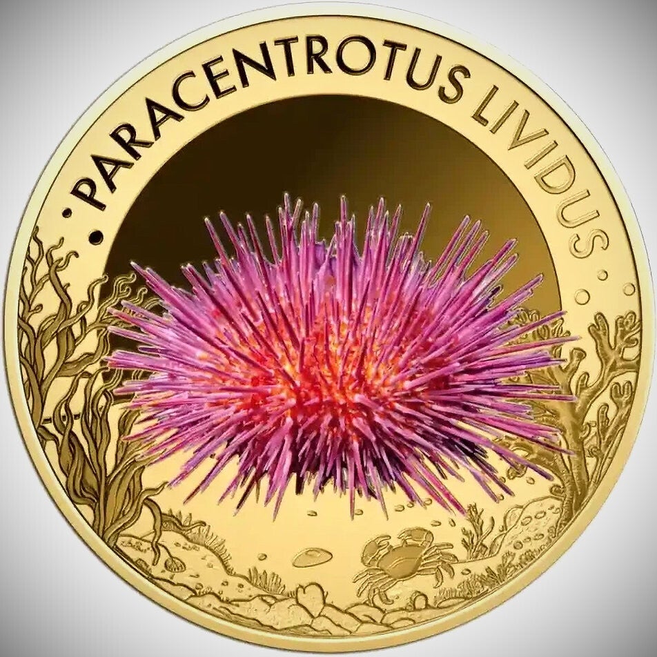 Purple Sea Urchin - 1/1000 oz .999 Gold Coin - 3000 Francs Republic of Chad
