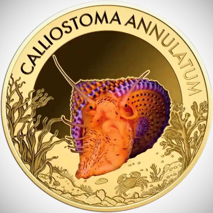 Violet-Banded Top Snail 1/1000 oz .999 Gold Coin - 3000 Francs Republic of Chad