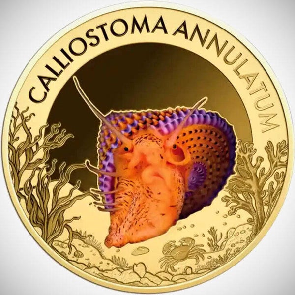 Violet-Banded Top Snail 1/1000 oz .999 Gold Coin - 3000 Francs Republic of Chad