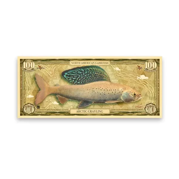 Arctic Grayling Aurum® 100mg 24k Gold Bill Series I