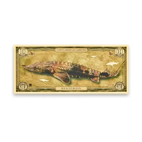 Rock Sturgeon Aurum® 100mg 24k Gold Bill Series I