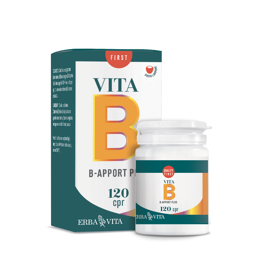 B APPORT VITAMINA B12