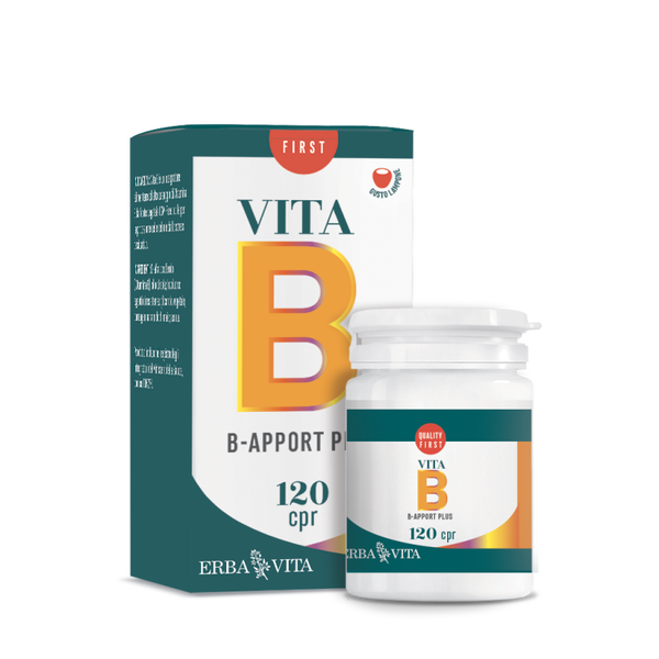 B APPORT VITAMINA B12