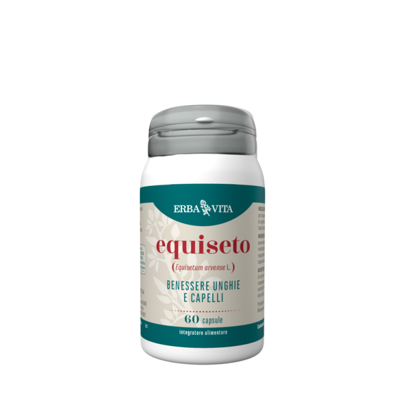 EQUISETO