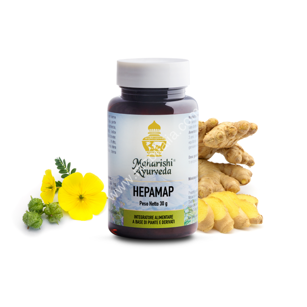 Hepamap 60 compresse da 0,5 g