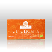 Gingersana 16 filtri bio 32 g
