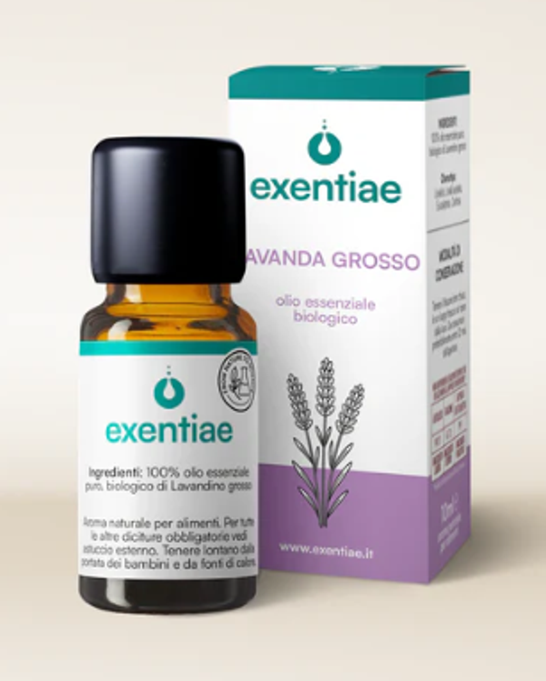 Lavanda Grosso Olio Essenziale Biologico 10 ml
