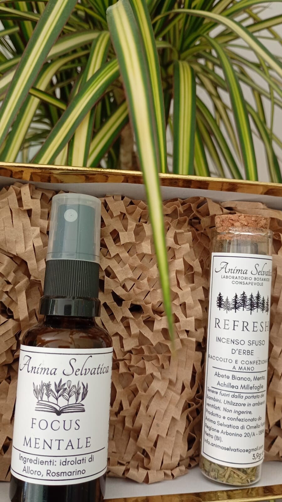 Focus Menta da 50 ml e Incenso Sfuso d'Erbe - Refresh da 3,9 g
