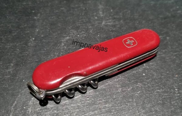 VENDIDA - L71 - Wenger Forester