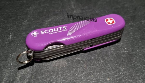 M90 - Wenger Evo S18 Scouts