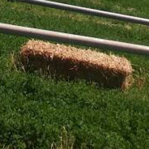 "Bucking Bales" Working Day Tour (1 hour experience)