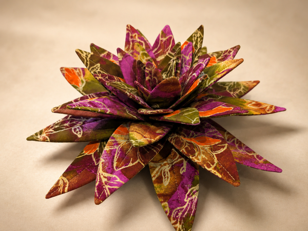 Aloevera Boréal