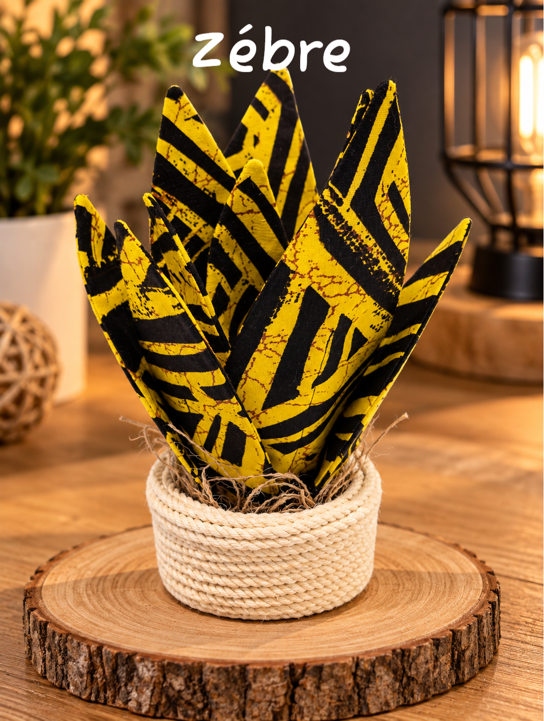 Aloevera Asymétrique avec pot