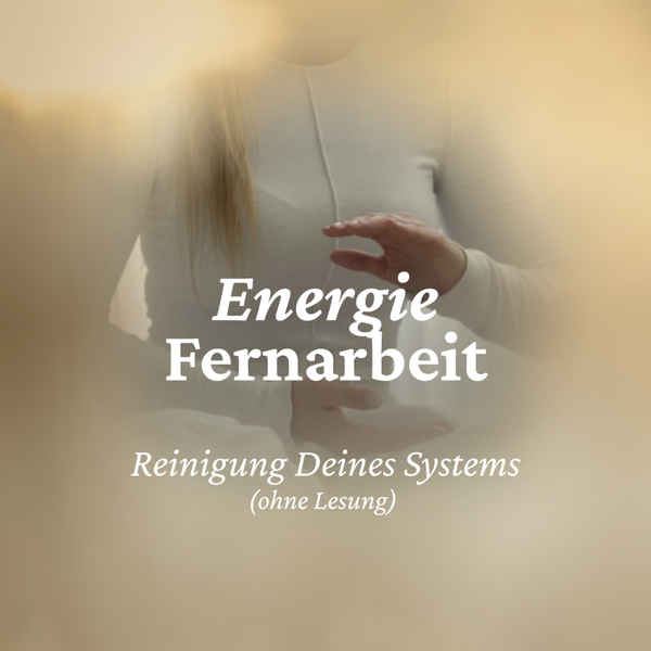 Energiefernarbeit Reinigung deines Systems