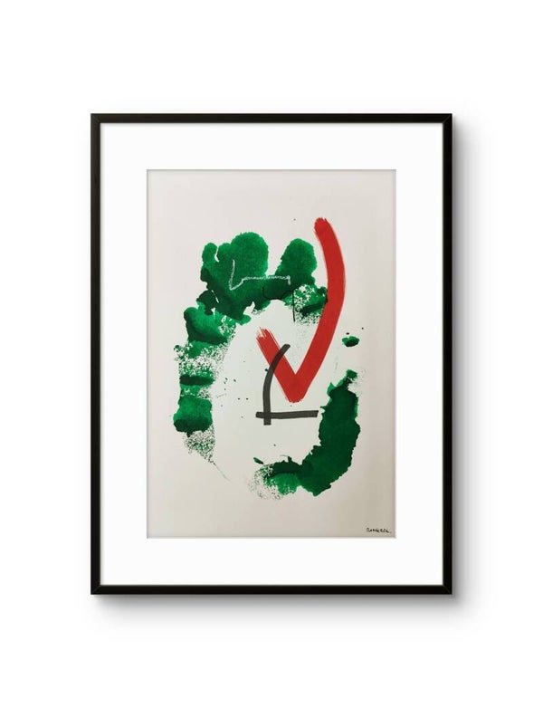 VERDE, BLANCO, ROJO Y NEGRO V