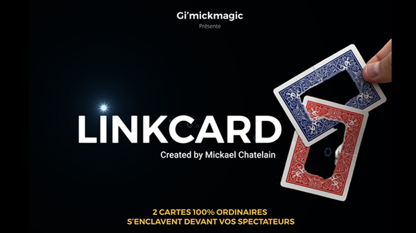 LinkCard RED or Blue by Mickaël Chatelain