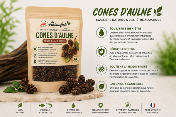 Cônes d’Aulne Naturels Premium