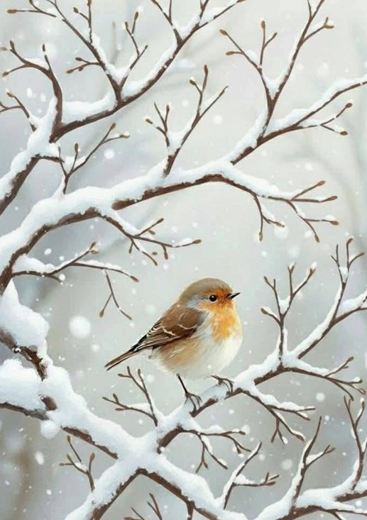 Wenskaart 'kerst'