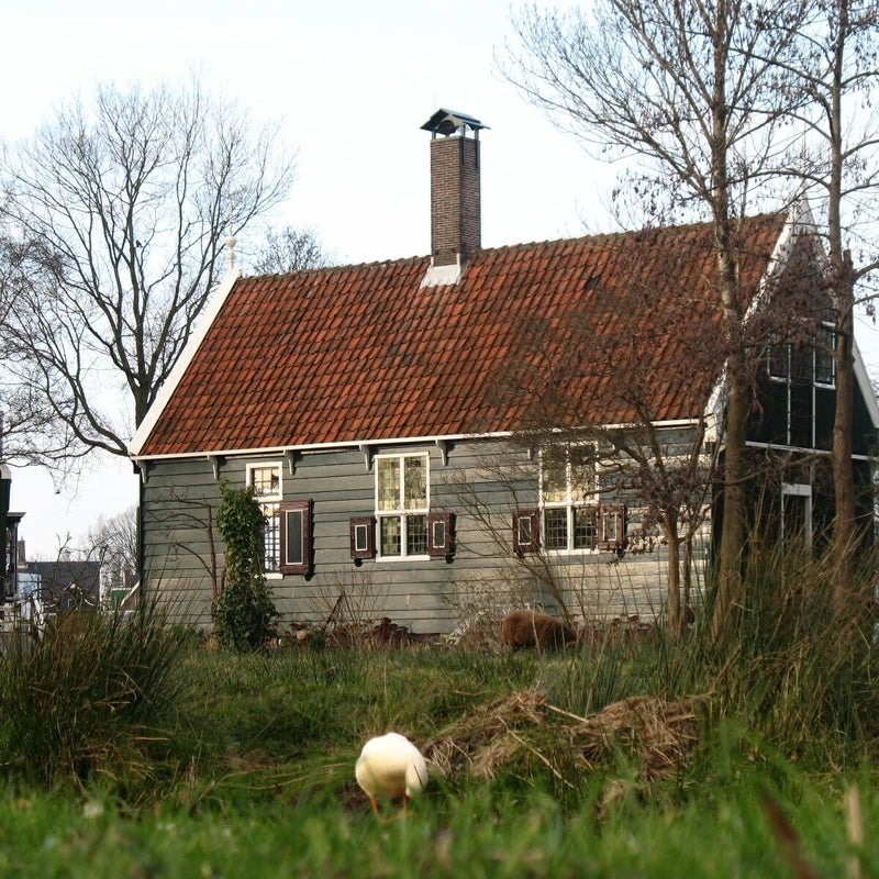 tHuiske-1.jpg