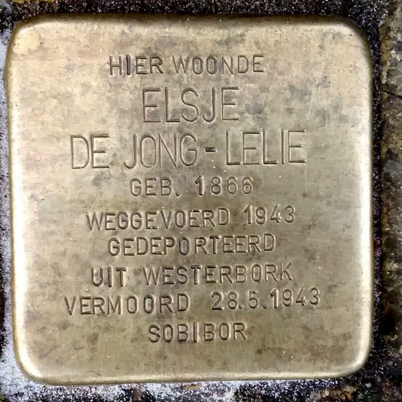 014-ElsjedeJong-Lelie.jpg