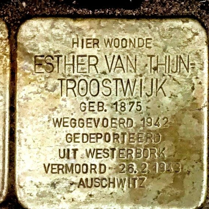 032-FamVanThijn-2.jpg