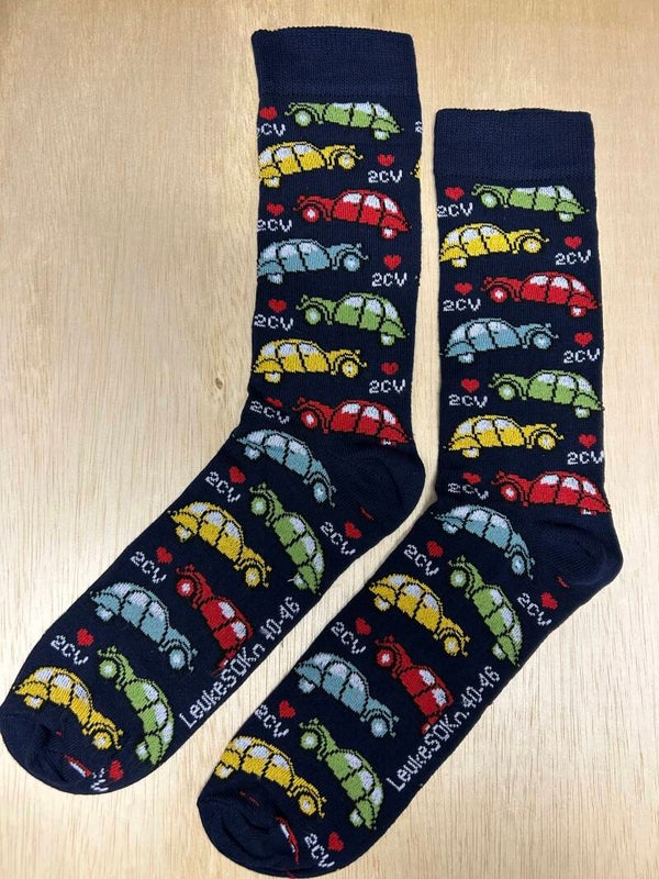 SOKn. 2CV (lelijke eendjes)