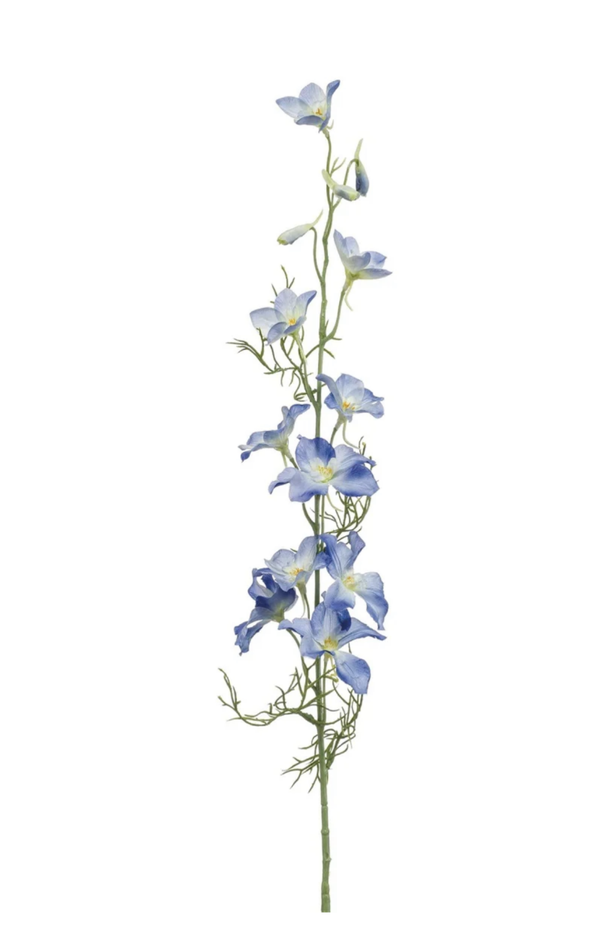 Delphiunium bloem