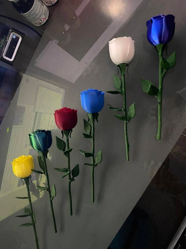 Flower 2