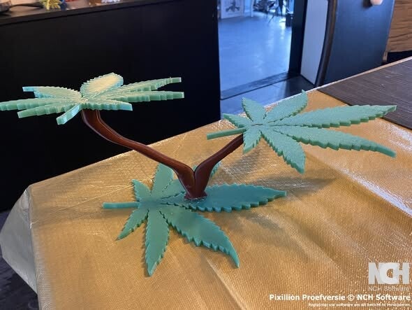 Weed plant