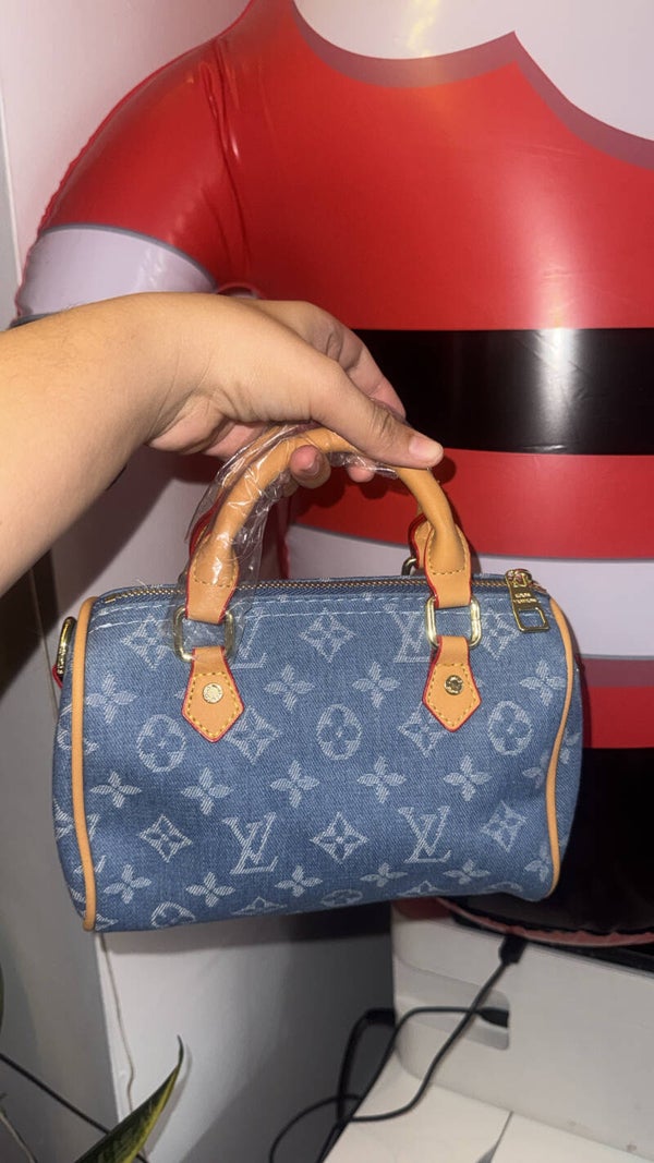Louis Vuitton mini