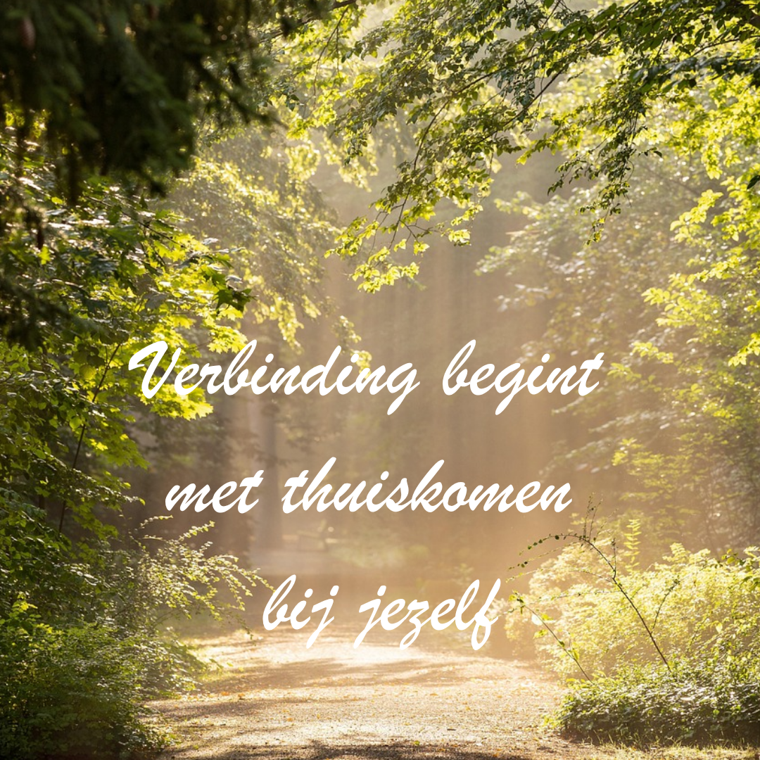 Puur Wauw, Puur Zijn Dagretreat, Leven vanuit innerlijke verbinding