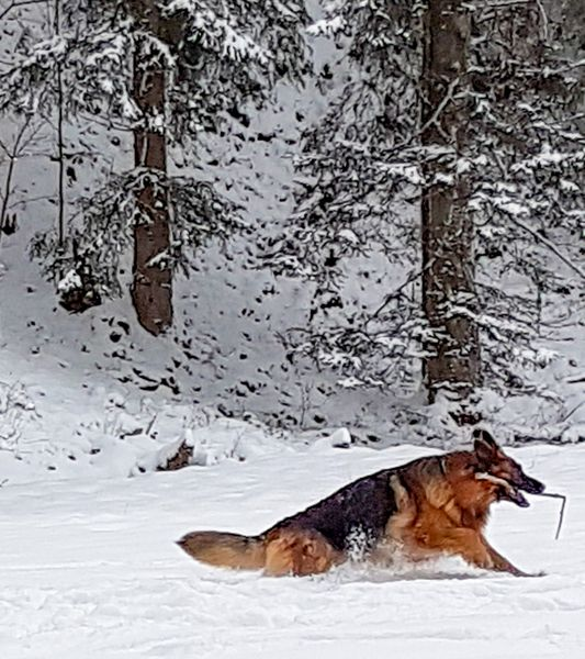 Snowparty