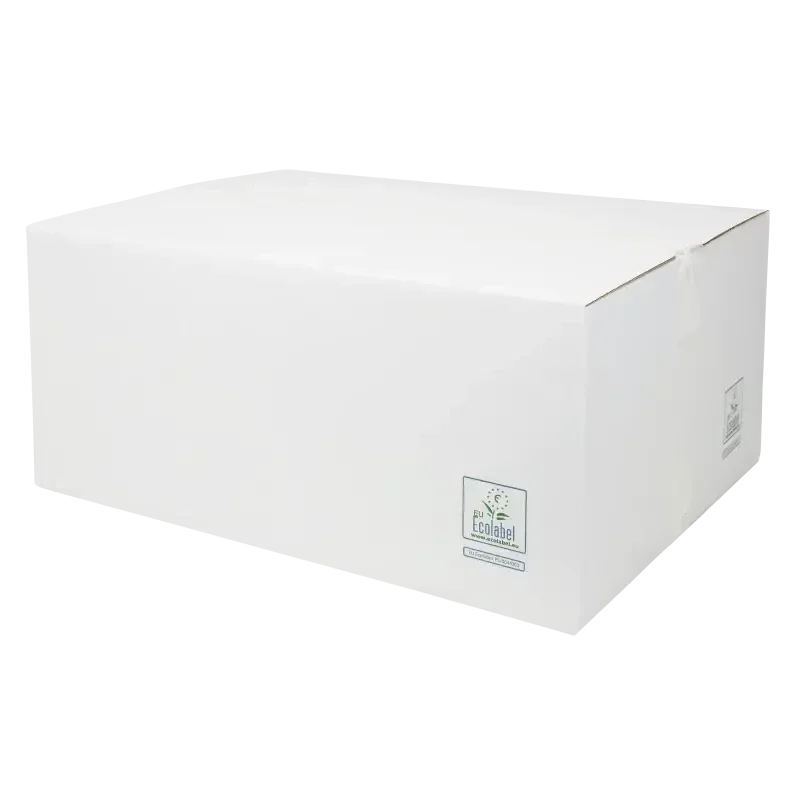 Handdoekpapier Cellulose 2-laags Z-vouw 21 x 24 cm (3200 stuks)