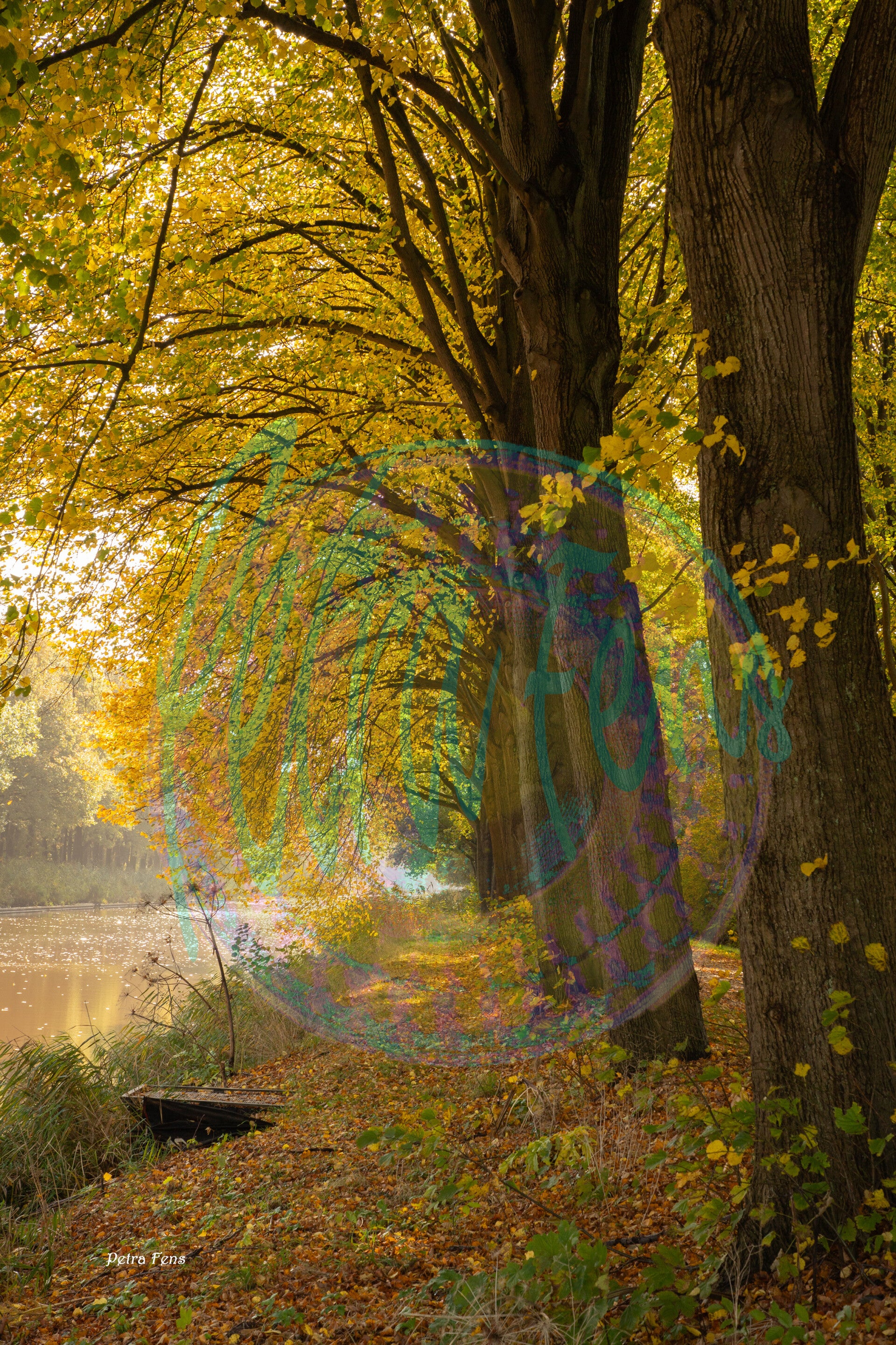 De Lethe, nederland-Petra-Fens