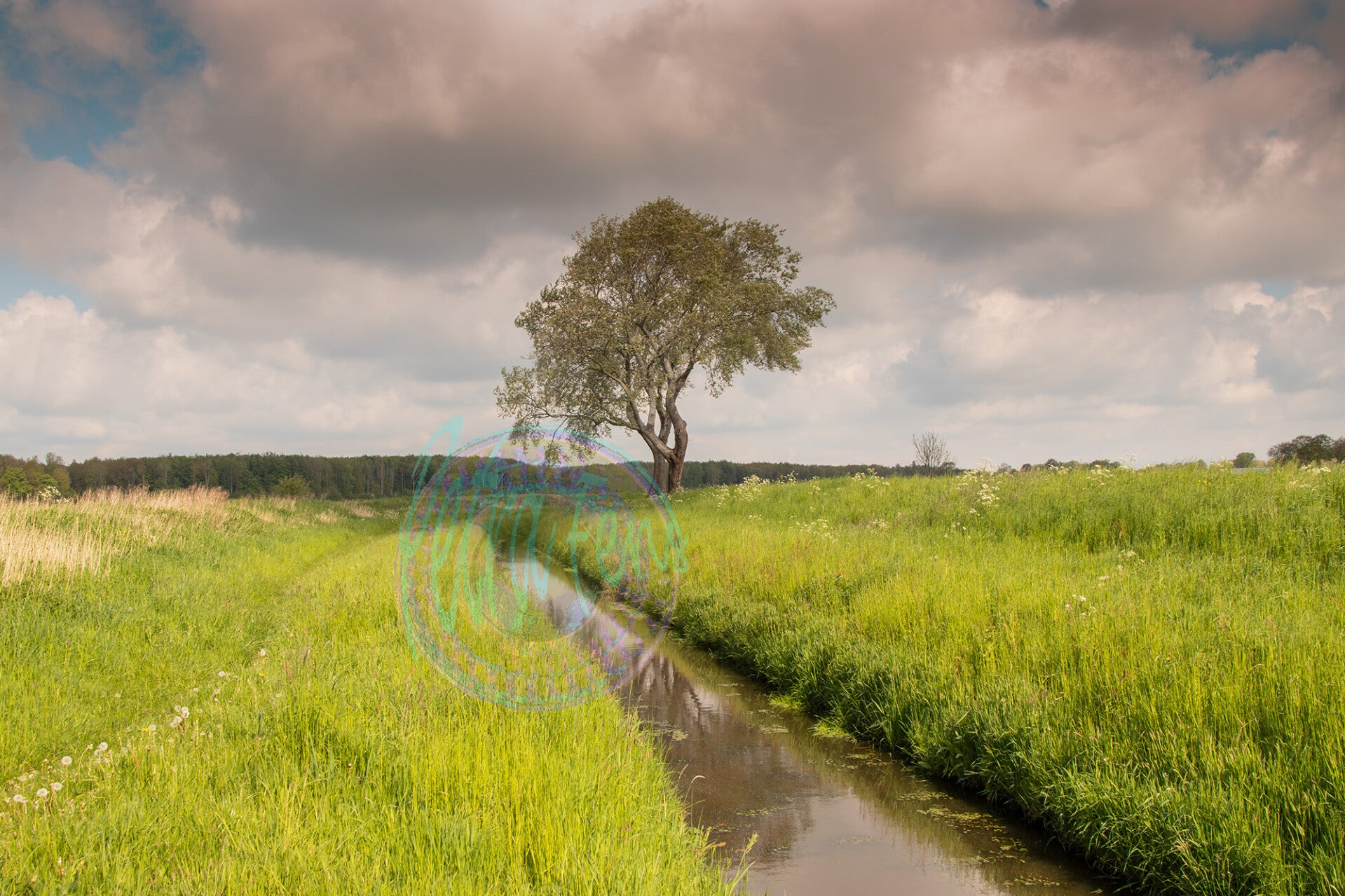 de-tjemme-beerta, Nederland-Petra Fens