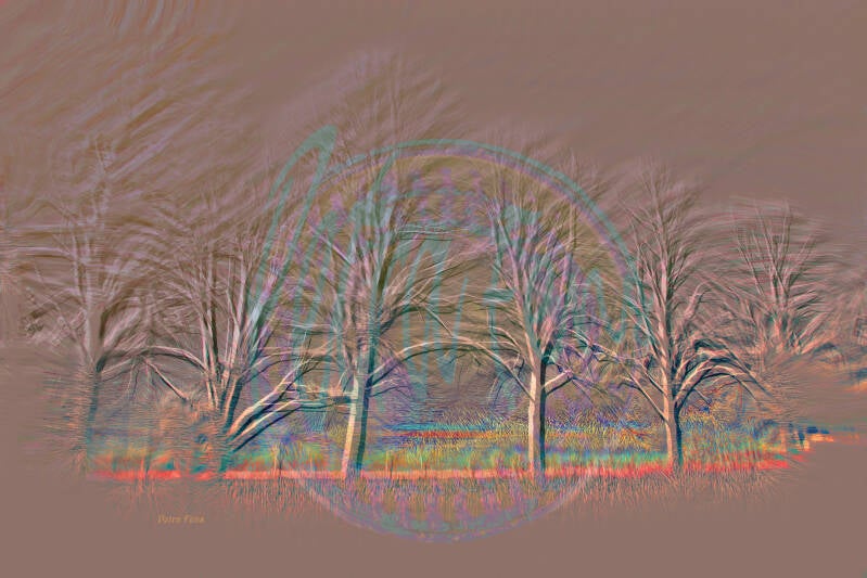Bomen bij Oudeschans