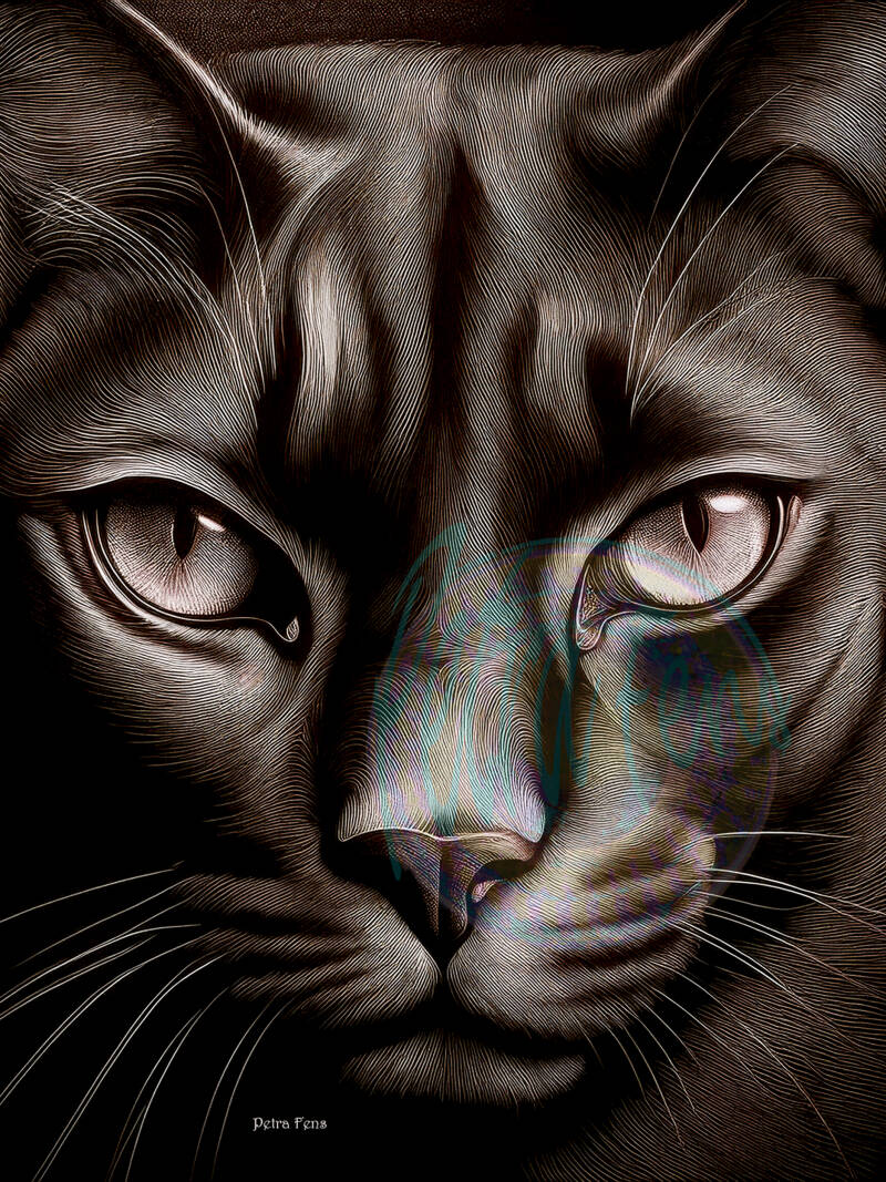 Rode kater