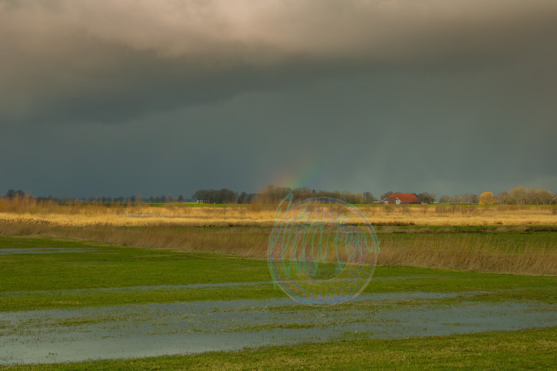 natuurgebied-boven-landen-den-ham, Nederland-Petra Fens