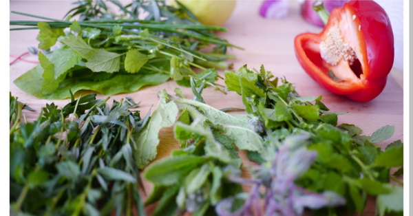 Understanding Ingredients