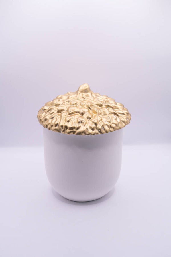 Golden - Acorn